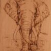 Elefante pirograbado