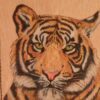 Imagen de un tigre pirograbado