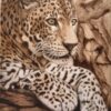 Detalle bolso bandolera jaguar
